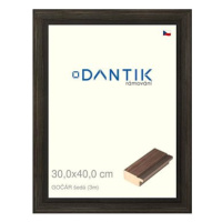 DANTIK rámeček 30 × 40, Gočýr šedý plexi čiré