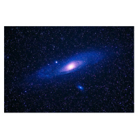 Fotografie The Andromeda galaxy imaged from the, Tony Rowell, 40 × 26.7 cm