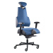 PROWORK zdravotní židle Therapia Body+ Cobalt HX58/KX99