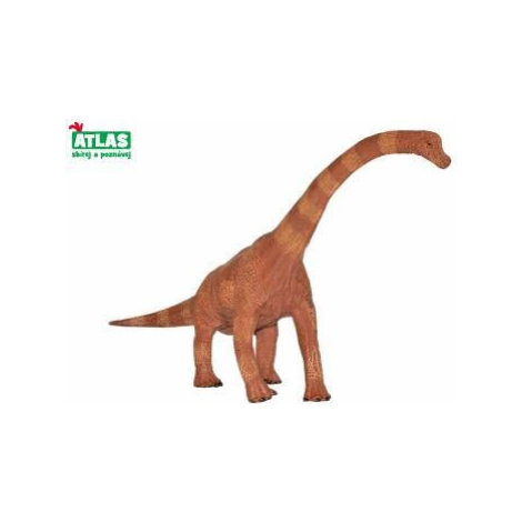 G - Figurka Dino Brachiosaurus 30 cm ATLAS