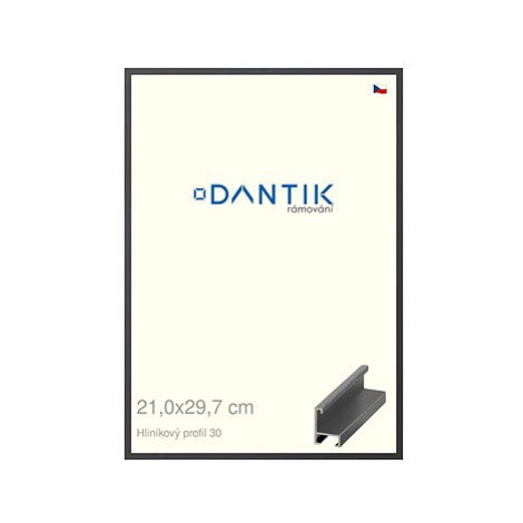 DANTIK rámeček 21 × 29,7, ALU profil 6030 Dýha barevný šedý tmavý sklo čiré