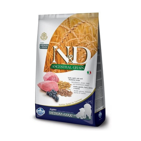 N&D Ancestral Grain Dog Puppy M/L Lamb & Blueberry 2,5kg