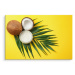 MyBestHome BOX Plátno Listové A Kokosové Ovoce Na Žlutém Podkladu Varianta: 30x20