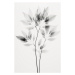 Ilustrace Transparent Botanic No 8, Treechild, 26.7 × 40 cm