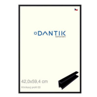 DANTIK rámeček 42 × 59,4, ALU profil 7003 Černý matný plexi čiré