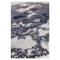 Modro-šedý koberec 290x200 cm Aurora - Asiatic Carpets