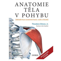 Anatomie těla v pohybu - Základní kurz anatomie kostí, svalů a kloubů