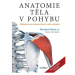 Anatomie těla v pohybu - Základní kurz anatomie kostí, svalů a kloubů