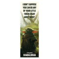 Plakát, Obraz - Star Wars: The Mandalorian - Special Tricks, 53x158 cm