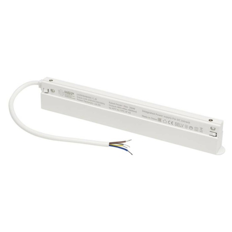 BIG WHITE (SLV) 48V SYSTEM driver LED Intrack, 48VDC, 250W, vč. propojení DALI, bílý 1007873