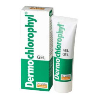 Dermochlorophyl gel 50ml Dr.Müller