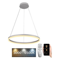 Brilagi Brilagi - LED Stmívatelný lustr na lanku CIRCLE LED/42W/230V 3000-6500K + DO