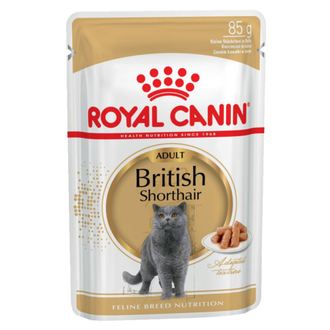 Royal Canin British Shorthair Adult - v omáčce - 24 x 85 g