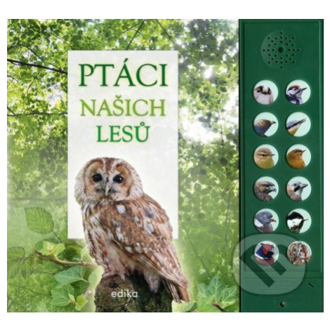 Ptáci našich lesů (Zvuková knížka) - Caz Buckingham, Andrea Pinnington - kniha z kategorie Pro d EDIKA