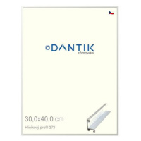 DANTIK rámeček 30 × 40, ALU profil 7273 Bílý matný plexi čiré