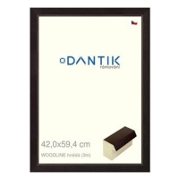 DANTIK rámeček 42 × 59,4, WOODLINE hnědý plexi čiré