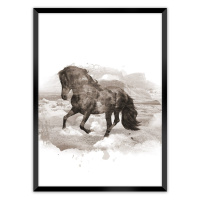 Dekoria Plakát Horse, 21 x 30 cm, Volba rámku: Černý