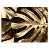 Ilustrace Golden monstera leaf on black background, xmocb, (40 x 30 cm)