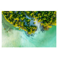 Fotografie Overhead view of a tropical mangrove lagoon, Roberto Moiola / Sysaworld, 40 × 26.7 cm