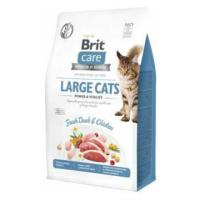 Brit Care Cat GF Large cats Power&Vitality 0,4kg sleva