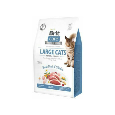 Brit Care Cat GF Large cats Power&Vitality 0,4kg sleva