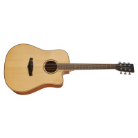 Tanglewood TP5 SE