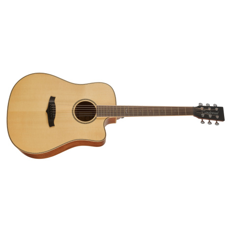 Tanglewood TP5 SE