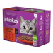 Whiskas Kapsa klasický výběr šťáva 12x85g