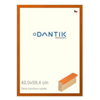 DANTIK rámeček 42 × 59,4, PERLA oranžový vysoký plexi čiré