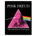 Plakát, Obraz - Pink Freud - Dark Side of your Mom, (61 x 76.5 cm)
