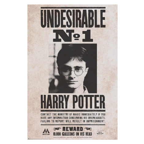 Plakát Harry Potter - Undesirable n°1 ABY STYLE