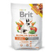 Brit Animals Alfalfa snack for rodents 100g