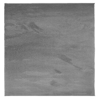 vidaXL Koberec OVIEDO krátký vlas antracitový 120 x 120 cm