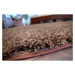 Dywany Lusczow Kusový koberec SHAGGY Izebelie 5cm hnědý