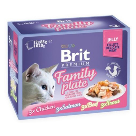 Brit Premium Cat D Fillets in Jelly Family Plate 1020g