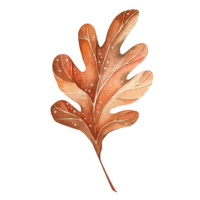 Fotografie A beautiful autumn watercolor oak leaf, Lidiia Biktimirova, 40x40 cm