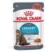 Royal Canin Urinary Care v omáčce - 24 x 85 g