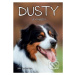 Dusty: Dusty je najlepší! - Jan Andersen - kniha z kategorie Beletrie pro děti