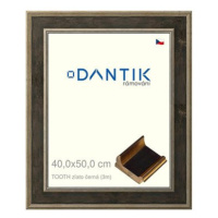 DANTIK rámeček 40 × 50, TOOTH zlato černý plexi čiré