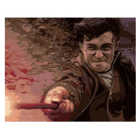 Harry Potter v souboji s Voldemortem, 40×50 cm, bez rámu a bez vypnutí plátna