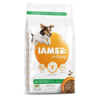 IAMS Dog Adult Small & Medium Lamb granule pro psy 1 kus, Hmotnost balení (g): 3 kg