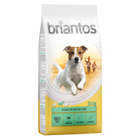 Briantos granule, 12 / 14 kg - 10 % sleva - Adult Mini jehněčí s rýží (14 kg)