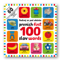 Podívej se pod okénko - prvních 100 slov - first 100 words