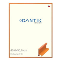 DANTIK rámeček 40 × 50, ALU profil 6035 Dýha barevný oranžový sklo čiré