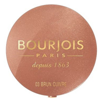 BOURJOIS Round Pot 003 Copper Brown 2,5 g