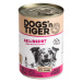 Dogs'n Tiger Adult 12 × 400 g - výhodné balení - jehněčí a pastinák