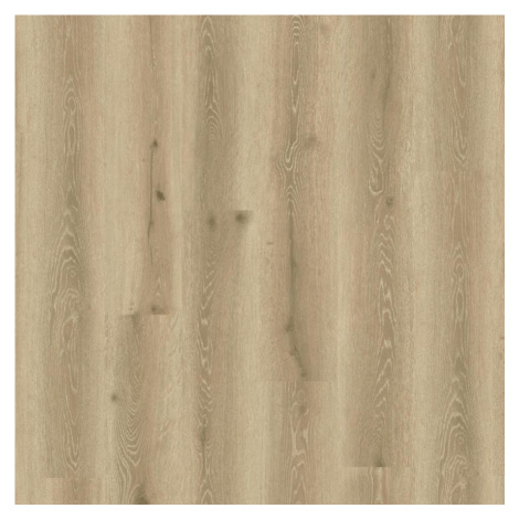 Vinylová podlaha LVT Elegance Rigid 55 Limousin Oak Grege 5,5mm 23/33 Tarkett