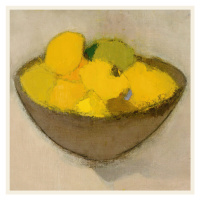 Obrazová reprodukce Lemons (Still Life in Yellow / Square) - Helene Schjerfbeck, 40x40 cm
