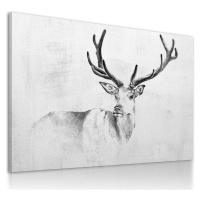 Obraz na plátně BEAUTY DEER různé rozměry Ludesign ludesign obrazy: 100x70 cm