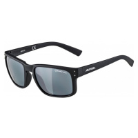 METABO 657041 ochranné sluneční brýle ALPINA Classic K